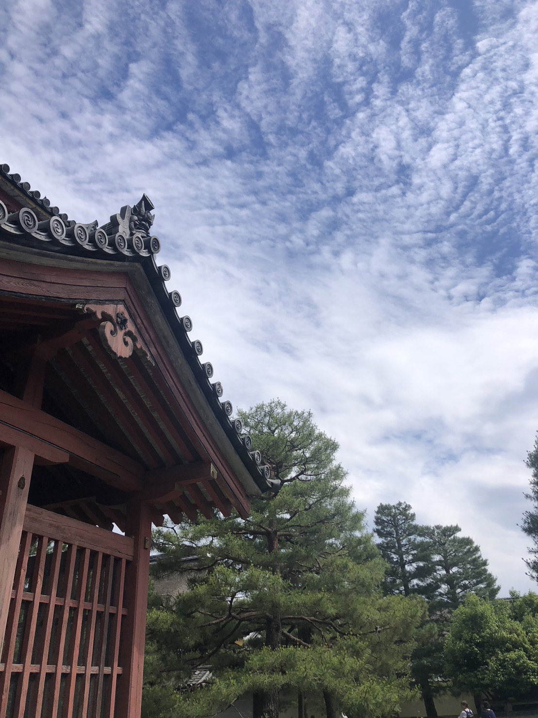 京都 大徳寺 ぶらり散策 特別公開 金毛閣 へ 禅と茶の湯 千利休との 
